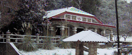 frente nevado