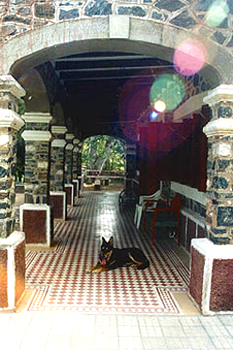 galeria