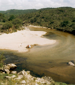 rio