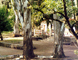 parque
