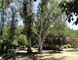 parque
